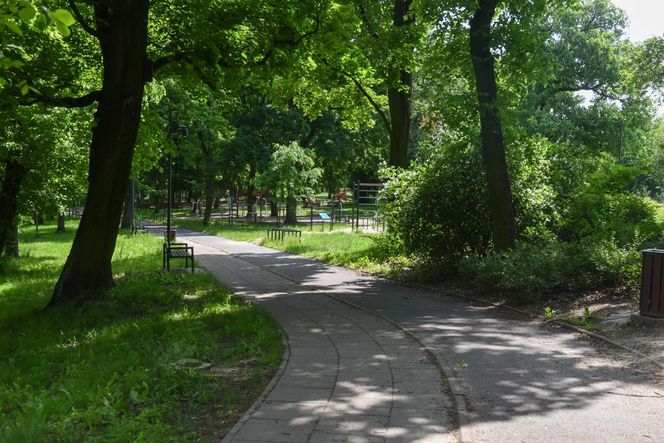  To on zaatakował kobietę w Parku Glazja