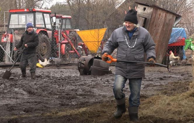 Rolnicy. Podlasie. Gorąco w Plutyczach. Gienek i Sławek próbowali zagonić cielaki do obory