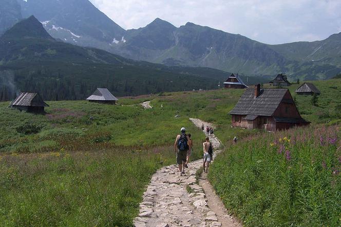 Tatry. TPN będzie budował sieć kanalizacyjną na Hali Gąsienicowej
