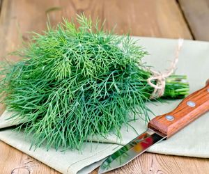 Co zrobić, aby koperek zawsze był świeży? Wystarczy słoik i najpopularniejsza przyprawa świata