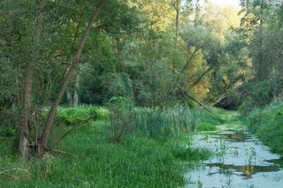 Ta warszawska dzielnica dawniej była atrakcyjnym letniskiem. Do dziś zachwyca malowniczymi widokami