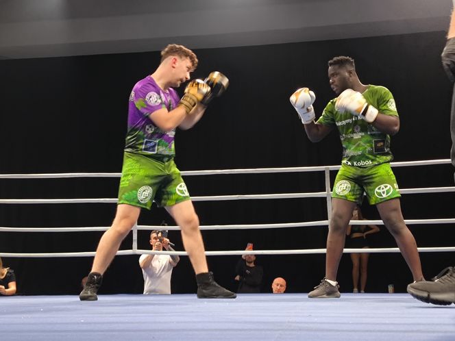 Walczyli dla Krystiana. Charytatywna gala boksu Hero Boxing Fighters 3 „Jungle”