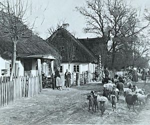 Wsie z woj. lubelskiego sprzed prawie 100 lat. Zobacz 