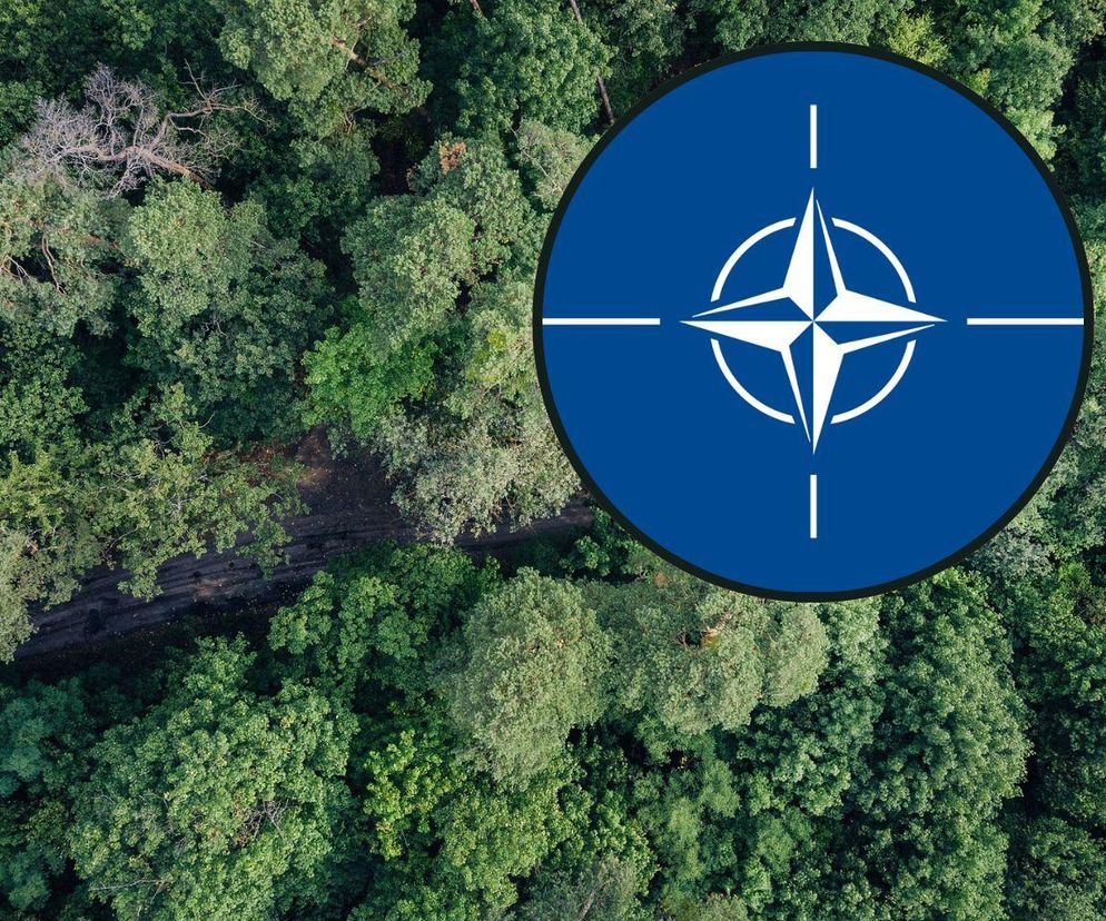 Polska wnioskuje o artykuł 4. NATO. Co to oznacza?