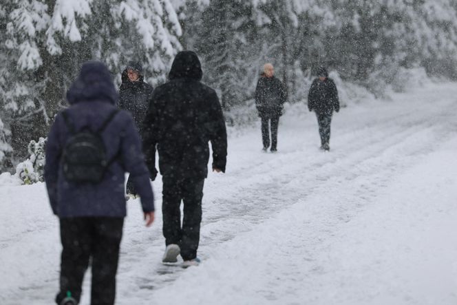 Śnieg w Tatrach. TOPR ogłosił pierwszy stopień zagrożenia lawinowego