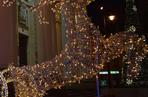 Lublin: Świąteczne iluminacje już wkrótce w centrum miasta. Znamy datę!