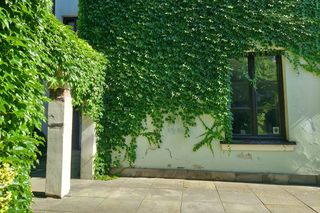 Urokliwe podwórka Starego Miasta w Zamościu