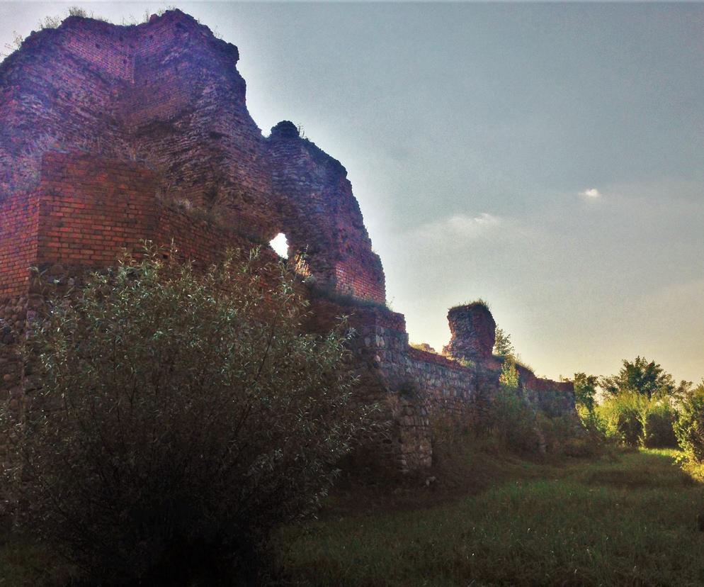 Zamek w Bobrownikach. Zapomniana historia, która czeka na swoich odkrywców