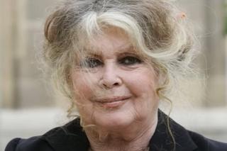 Brigitte Bardot ma poważne problemy ze zdrowiem.  Tak się dzieje, kiedy masz 88 lat