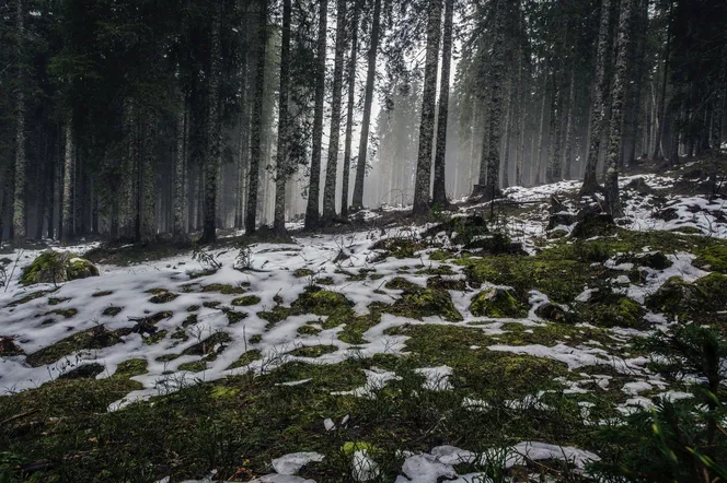 Deszcz ze śniegiem, wichury do 80 km/h, a nawet to! W sobotę lepiej nie wychodzić z domu