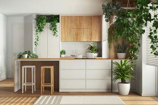 Kuchnia inspirowana naturą