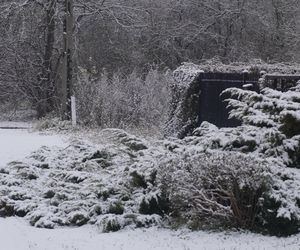 Zima w Świętokrzyskiem. Skarżysko-Kamienna (22.11.2024)