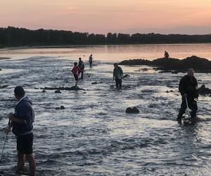 Poszukiwacze bursztynu w Rewie. Jak wyglądają poszukiwania złota Bałtyku? 