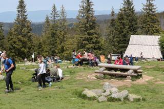 Tłumy w Tatrach. Słoneczna pogoda przyciągnęła turystów na szlaki