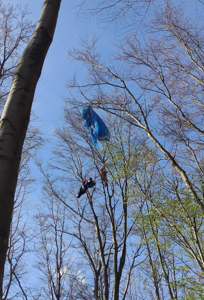 Paralotniarka wylądowała na drzewie. Kobieta wisiała 25 metrów nad ziemią