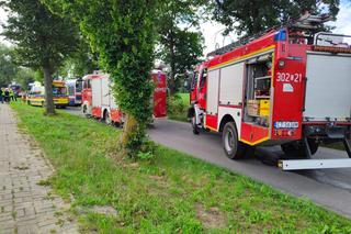 Pod Bydgoszczą autobus podmiejski uderzył w drzewo. Kilkanaście osób jest rannych!
