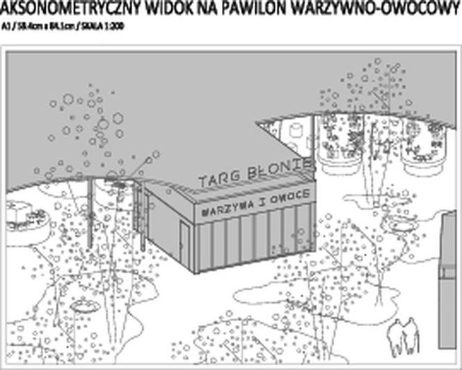 Targ w Błoniu 5