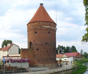 To wyjątkowy symbol miasta pod Olsztynem. Na szczycie jest… gniazdo