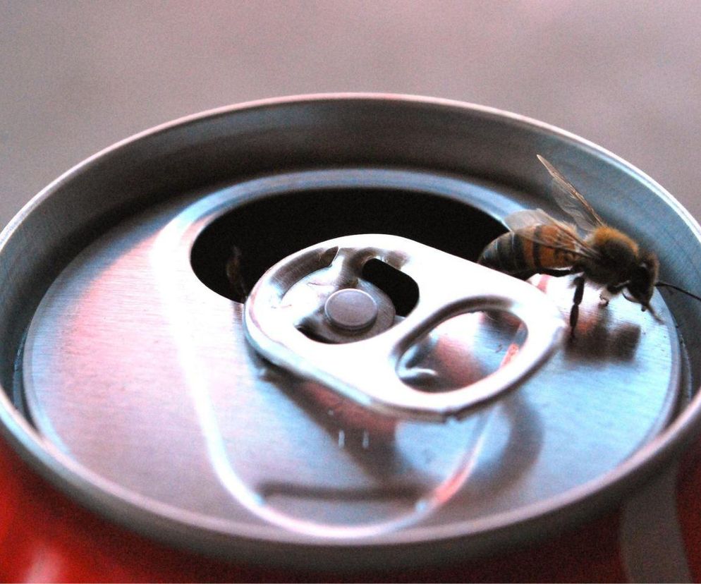 Czym grozi połknięcie pszczoły? 