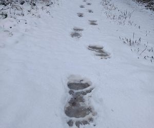 Pierwszy śnieg w Bieszczadach