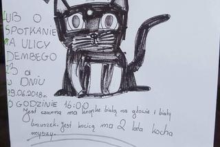 Wzruszający apel o pomoc ! Dziewczynka szuka swojej kotki 