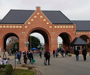 1 listopada na Cmentarzu Centralnym w Szczecinie