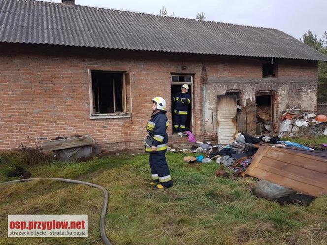 80-latka zginęła w pożarze swojego domu. Jej ciało leżało obok spalonego łóżka 
