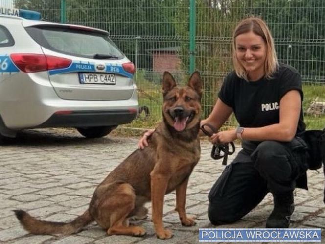 Policyjny pies pomógł uratował 32-latka, który chciał odebrać sobie życie