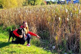 Tychy: Trzy młode łabędzie trafiły do weterynarzy. Jeden zmarł