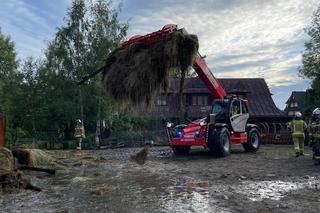 Ogromny pożar w Zakopanem! Płomienie objęły budynki gospodarcze. Na miejscu 10 zastępów straży pożarnej [ZDJĘCIA]