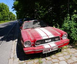 Porucony Ford Mustang przy ulicy Wołyńskiej w Poznaniu