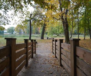 Park Lubomirskich w Białymstoku jesienią 