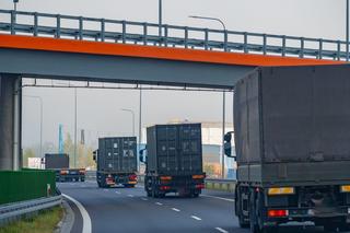  Trwają ćwiczenia wojskowe na północy Polski. Na drogach wzmożony ruch kolumn pojazdów wojskowych