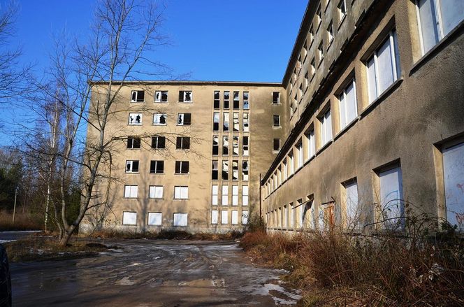 Prora