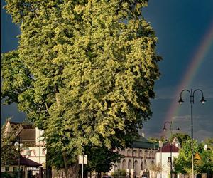 Burmistrza Wąchocka Jarosława Sameli - pasja fotografowanie