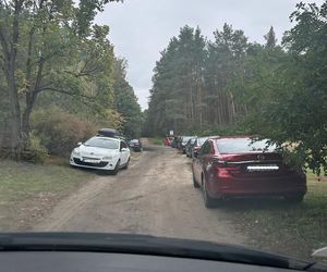 Służby apelują: nie blokujcie dróg leśnych!