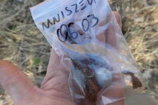 Ludzkie szczątki przy torach pod Świeciem! Tajemnica grobu w końcu wyszła na jaw