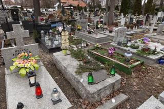 Radny PiS chce badać ludzi przed cmentarzem