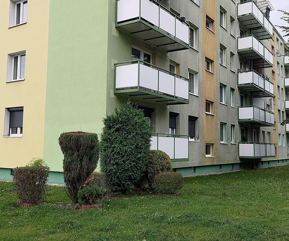 Sztywnej Ewy bało się całe osiedle. Chciała zabić ojczyma, zginęła jej matka