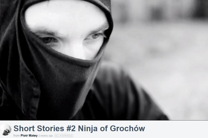 Grochowski ninja