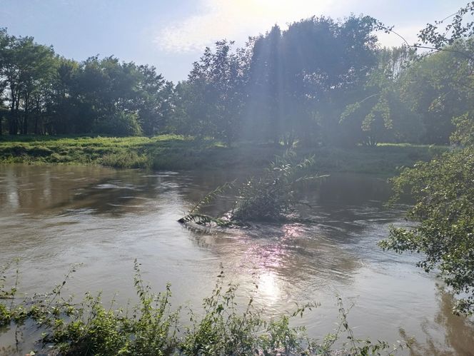 Stan rzeki Ślęza cały czas się podnosi. Przekroczono już stan alarmowy. Jak wygląda sytuacja?