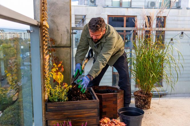 Jesienna metamorfoza balkonu