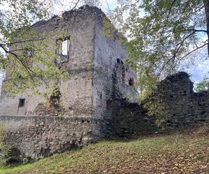 Zamek w Dąbrówce Starzeńskiej