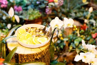 Czym zaskoczy łódzkie Orientarium? Pojawią się dwie duże atrakcje