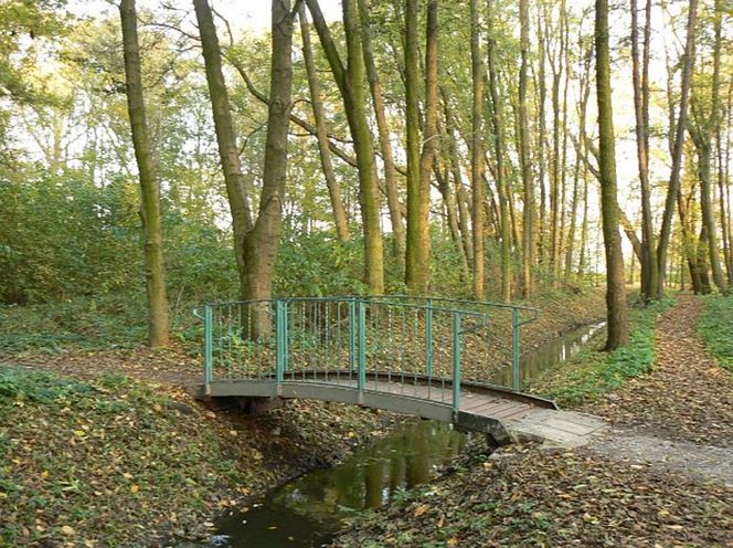 3. Ożarów Mazowiecki – gospodarcze serce zachodniego Mazowsza