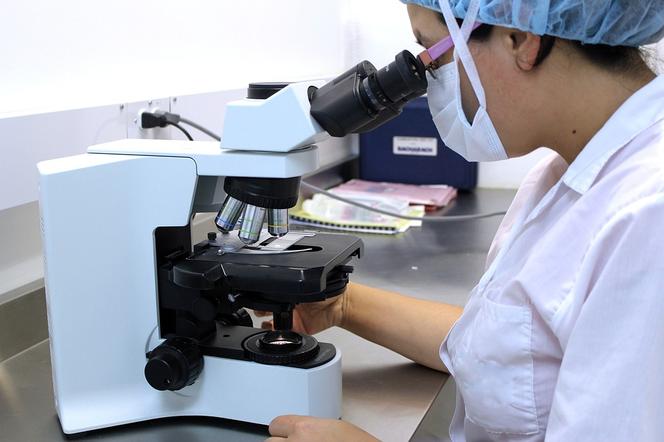 mikroskop, laboratorium, badania, epidemia