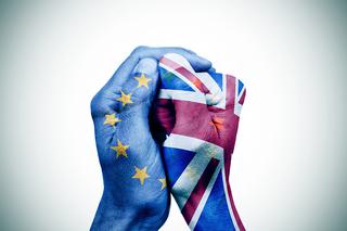 Brexit. Zmiany od 1 stycznia 2021 dla Polaków i szukających pracy w Wielkiej Brytanii
