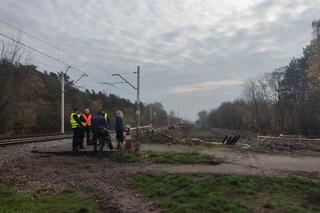 Tragedia na Olszynce Grochowskiej. Kobieta zginęła pod kołami pociągu