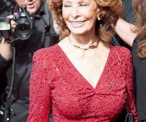 Sofia Loren w szpitalu! Gwiazda kina miała straszny wypadek