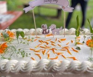 Ślub Katarzyny Bosackiej